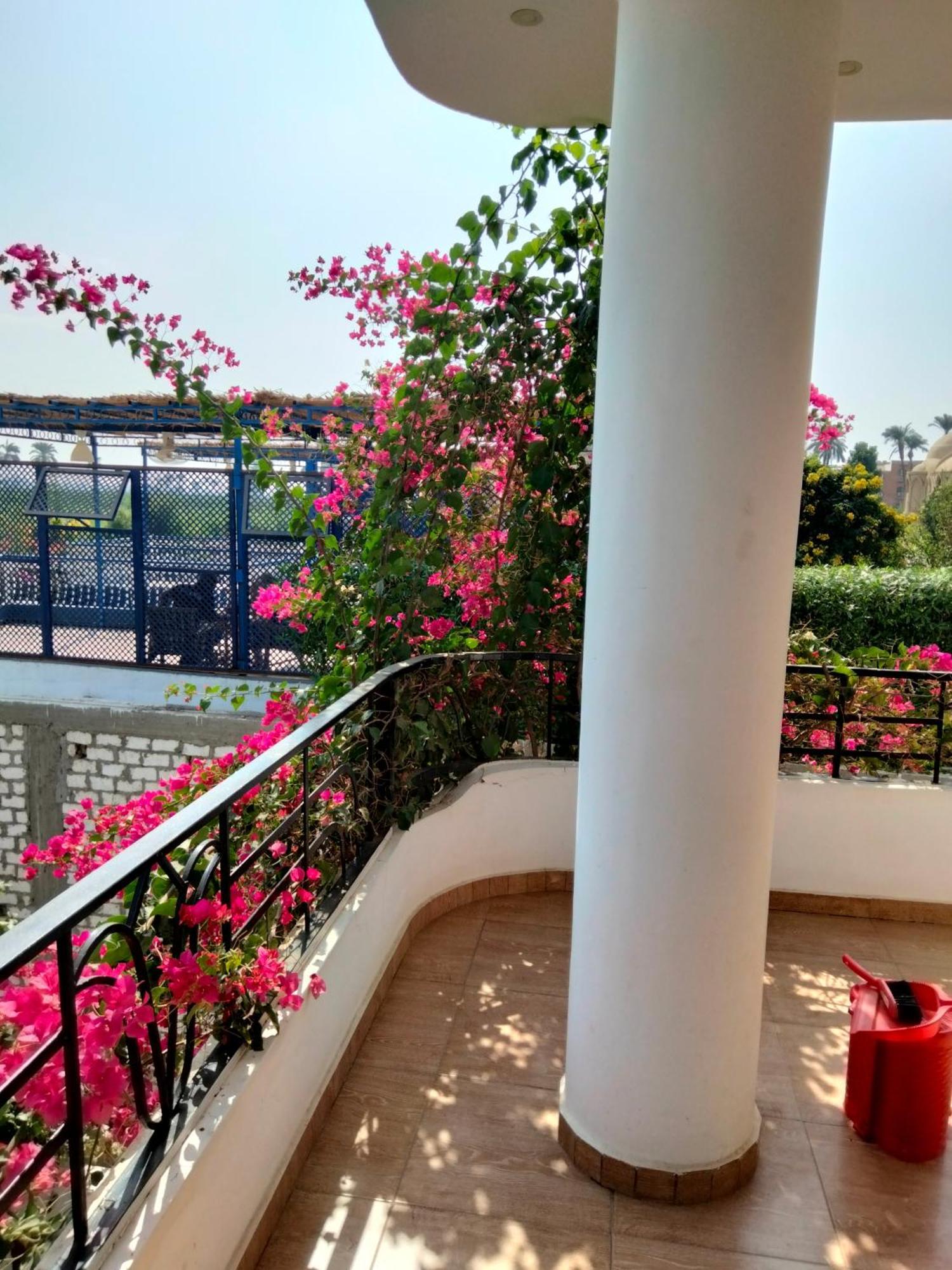 Villa Quiet Place Λούξορ Δωμάτιο φωτογραφία